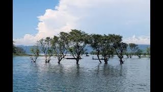 দ্বীপের রানী ভোলার অপরুপ সৌন্দর্যের লীলাভূমি মনপুরা।