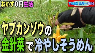 【おかず０円生活】ヤブカンゾウの蕾•金針菜で、ぶっかけ冷やしそうめん