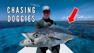 Most POWERFUL Fish | Spearfishing Dogtooth Tuna | Crystal Clear Tropical Waters