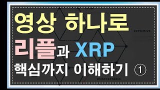 영상 하나로 리플과 XRP 핵심까지 이해하기 ①