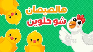 هالصيصان شو حلوين 🐥الجديدة | مكررة | قناة داني تي في