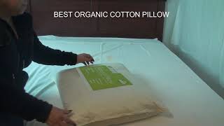 ORGANIC COTTON PILLOW | Well Living Shop