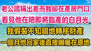 老公謊稱出差而我卻在產房門口，看見他在陪即將臨產的白月光，我假裝不知暗地轉移財產，一個月他回家後，直接嚇癱在原地#情感故事 #生活經驗 #為人處世 #情感 #家庭故事