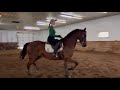 ellie maxwell scad equestrian tryout