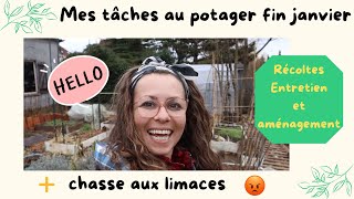 Ce que je fais au potager fin janvier : récoltes, entretien, aménagement #potager #janvier #récolte