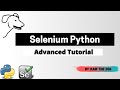 Selenium Python tutorial | Element not interactable/blocked, fully loaded page, endless loading