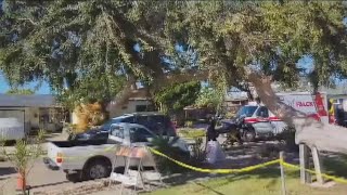 Several federal officers hurt following immigration enforcement operation in Bay Park