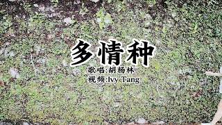 2022抖音非常流行的歌曲《多情种》好听!  (歌词/视频)