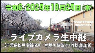 【ライブカメラ】臨時ライブカメラ生中継／千葉県松戸市新坂川桜並木／2024年10月9日【桜並木・流鉄流山線リアルタイム配信・ライブトーク兼用】