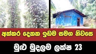 අක්කර දෙකක ඉඩම සමග නිවසෙ මුළු මුදලම ලක්ෂ 23 | House For Sale