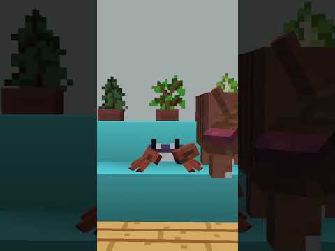 Armadillo, Crab And Penguin React To Minecraft Mob Vote - YouTube