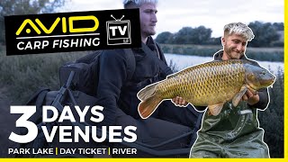 COMPOUND YOUR CATCH RATE! | 3 Venues, 3 Days (Park Lake, Day Ticket & River Carp Fishing)