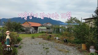 가을이 오는 시골집 | 10월의 시골마당 \u0026 텃밭 | A country house full of autumn scent