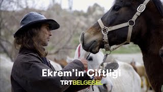 Ekrem'in Çiftliği | İçimizden Üçümüz | TRT Belgesel