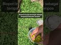 Biopori untuk berkompos langsung di pupuk kan ke dalam tanah