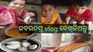 ଜ୍ୱାଇଁ ପାଇଁ ହେଲା ଇଟିଲି /ଅଜା ନାତୁଣୀ ର ବାର୍ତ୍ତାଳାପ /ବାଗଦା ଚିଙ୍ଗୁଡ଼ି 👌#villagevlog #saiprava daillylife