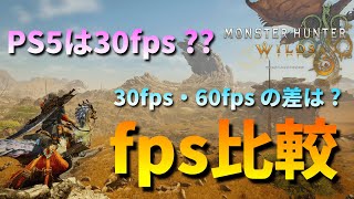 【モンハンワイルズ】PS5は30fps !? 前作で30fpsと60fpsの差を比べてみました！