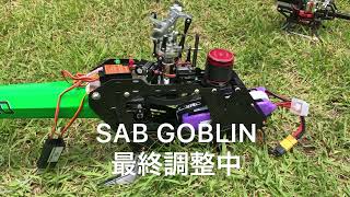 イタリア製 SAB GOBLIN 380  R/C helicopter