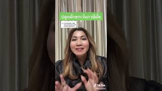 ปลูกผักยกเว้นภาษีไหม?