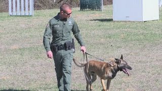 SCSO gets new K-9 trained to detect illegal drugs