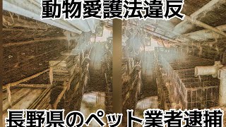 ペット事業者の元社長ら2人が、動物愛護法違反の疑いで逮捕された