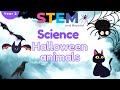 Halloween Animals | Science For Kids | STEM Home Learning