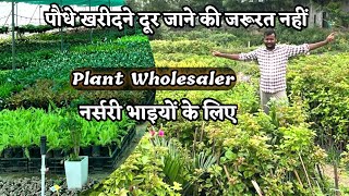 नर्सरी भाइयों पौधे खरीदने दूर जाने की जरूरत नहीं Plant Wholesalers In Delhi NCR Pune Kolkata Bhimtal