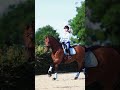 Slowmo edit #slowmo #equestrian