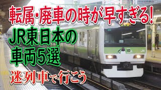 【迷列車で行こう】#80 早すぎる撤退！？JR東日本の早い段階で廃車や他路線への転属に追い込まれた車両5選