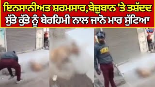 Social Media Viral Video | Bathinda News | ਬਠਿੰਡਾ ਤੋਂ ਸਾਹਮਣੇ ਆਈ ਬੇਹਦ ਸ਼ਰਮਨਾਕ ਵੀਡੀਓ India News Punjab