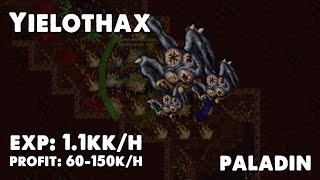 Paladin | Yielothax | Tibia