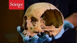 Feeding the gods: Hundreds of skulls reveal massive scale of human sacrifice in