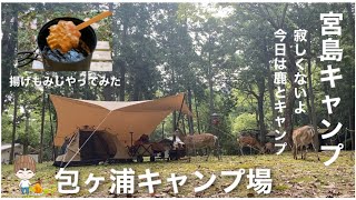 宮島でキャンプ　揚げもみじやってみた　鹿とキャンプに蜩の大合唱　久しぶりのカンガルーテントとオクラタープ　包ヶ浦自然公園キャンプ場