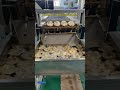 fried peanut cracker making machine 油炸花生饼生产线 马来西亚食品加工设备n