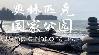 【Olympic National Park | 秋假】Vlog Day 2 | 奥林匹克国家公园 | 西雅图自驾游 | 秋假