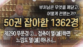 잡아함경... 1719회, 제290 무문경 ②... 접촉이 멸(滅)하면 느낌도 멸(滅)하나니...