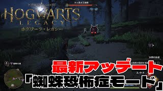 【ホグワーツ・レガシー】最新アッデート「蜘蛛恐怖症モード」5.1chサラウンドHogwarts Legacy高画質レイトレーシング