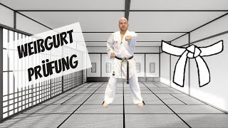 Werde Karate-Meister 1/10: Weißgurt Shotokan Prüfungsprogramm Kihon (9. Kyu, DKV)