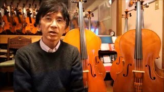 イタリア・新作・チェロ・豊かな・音色・音量・販売・東京