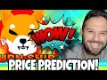 Shiba Inu Coin | New SHIB Price Predictions Following Bullish Reversal SHIB News!