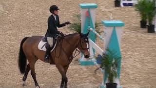 Video of ALTESSE DE VIRTON ridden by KAREN MCFARLAND from ShowNet!