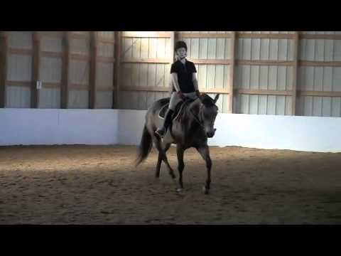 USDF Walk Trot Dressage Test Intro B. - YouTube