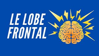 Le Lobe Frontal - Neuroscience Pour Tous