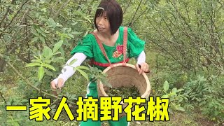 勇哥听说摘野花椒能换钱，带着媳妇，儿女一起忙活半天，收获半筐，真不容易【乡野勇哥】