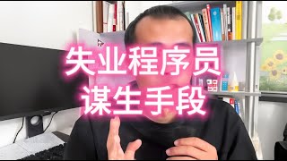 【程序员历险记19】失业程序员的谋生手段