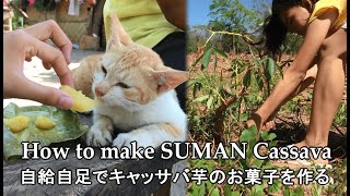 自給自足でキャッサバ芋のお菓子を作る【ジャングルクッキング】猫と食べる【日本語字幕】