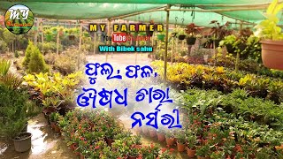 ll ଫୁଲ ଫଳ ଔଷଧ ଚାରା ନର୍ସରୀ ll#myfarmers #nursaryrhymes #nursery