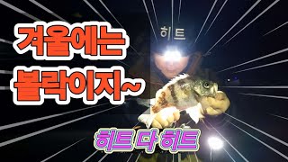 역시 겨울에는 볼락이죠 여수에서 5분 거리에 볼락이 차고 넘치네~