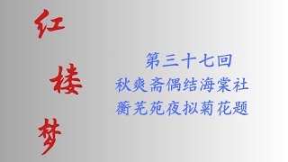 国学经典 四大名著之《红楼梦》第037回 真人朗读 光标跟踪 同步注解