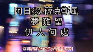 超有古早fu~《夢難留/雑草の歌》《伊人何處/中の島ブルース/中之島藍調》 阿日Tim薩克斯風：紅日樂團20231014安平漁人碼頭紀實